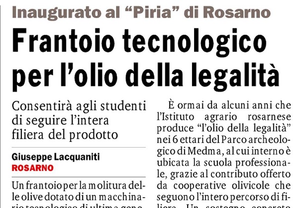 frantoio 3